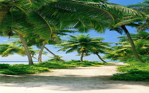 Coconut tree on the beach wallpaper  from Chrome web store to be run with OffiDocs Chromium online