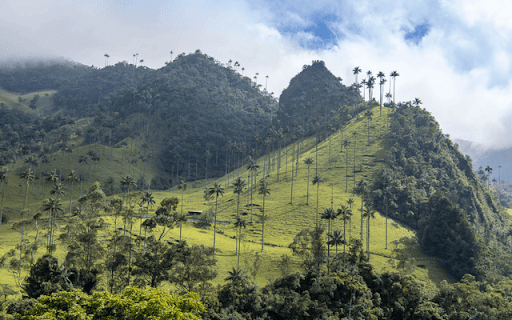 Cocora Valley  from Chrome web store to be run with OffiDocs Chromium online