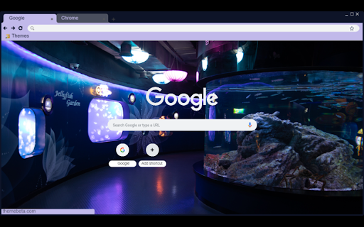Coex Aquarium  from Chrome web store to be run with OffiDocs Chromium online