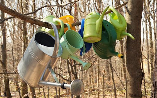 Collection of watering cans  from Chrome web store to be run with OffiDocs Chromium online
