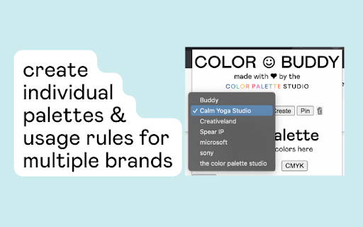 Color Buddy  from Chrome web store to be run with OffiDocs Chromium online