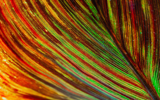 Colorful Art  from Chrome web store to be run with OffiDocs Chromium online