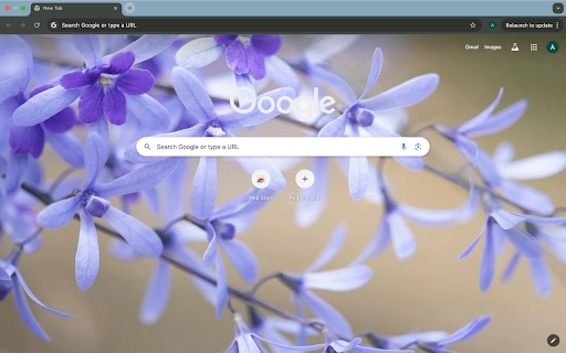 colorful cake  from Chrome web store to be run with OffiDocs Chromium online
