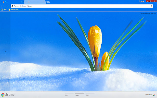 Colorful Crocus Nature Snow  from Chrome web store to be run with OffiDocs Chromium online