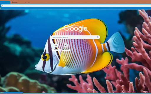 colorful fish swimming underwater  from Chrome web store to be run with OffiDocs Chromium online