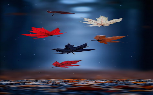 Colorful maple leaves Wallpaper  from Chrome web store to be run with OffiDocs Chromium online