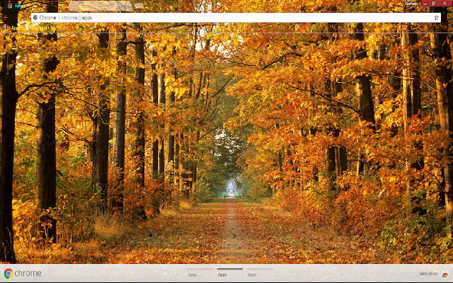 Colors Fall Leaf Path Tree  from Chrome web store to be run with OffiDocs Chromium online