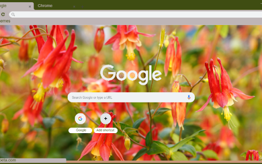 Columbine  from Chrome web store to be run with OffiDocs Chromium online