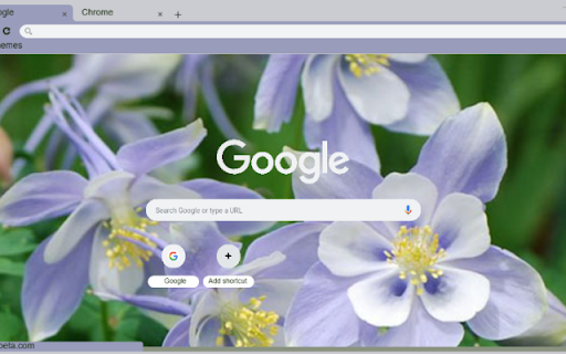 Columbine Blue  from Chrome web store to be run with OffiDocs Chromium online