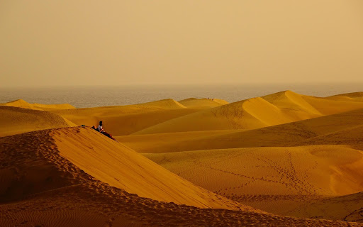 CON CAT Theme  from Chrome web store to be run with OffiDocs Chromium online