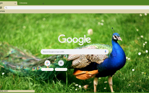 Cong  from Chrome web store to be run with OffiDocs Chromium online
