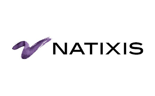Connecteur Chrome pour Natixis BETA  from Chrome web store to be run with OffiDocs Chromium online
