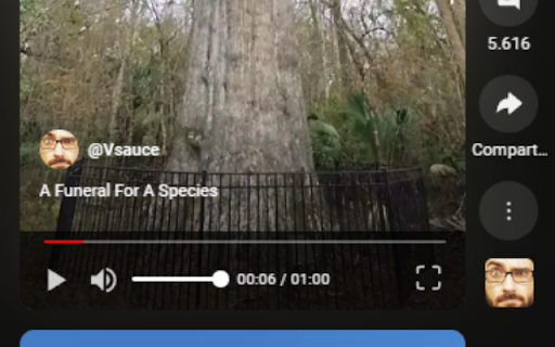 Controls for YouTube™ Shorts  from Chrome web store to be run with OffiDocs Chromium online