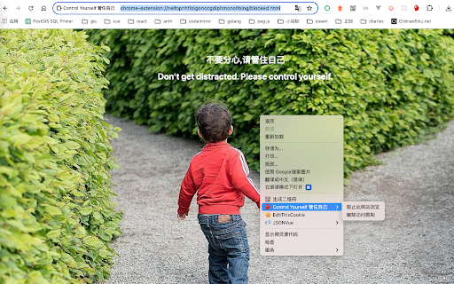 Control Yourself 管住自己  from Chrome web store to be run with OffiDocs Chromium online