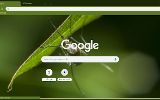 Con Trung La  from Chrome web store to be run with OffiDocs Chromium online
