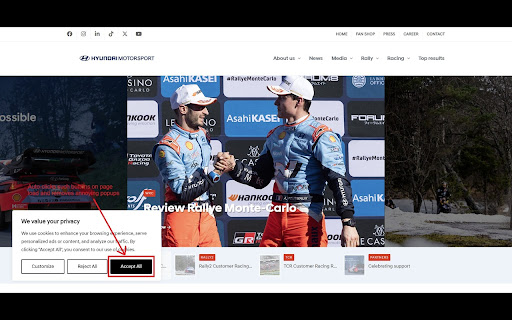 Cookie Accepter  from Chrome web store to be run with OffiDocs Chromium online