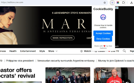 CookieBuddy  from Chrome web store to be run with OffiDocs Chromium online
