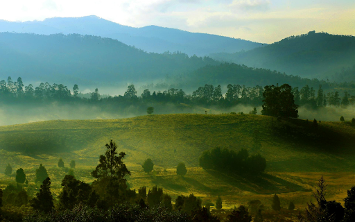 Cool Green Grass Hill  from Chrome web store to be run with OffiDocs Chromium online