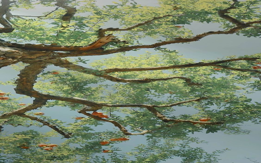 Cool tree wallpaper  from Chrome web store to be run with OffiDocs Chromium online