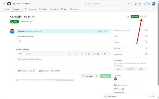 Copy GitHub Issue Link  from Chrome web store to be run with OffiDocs Chromium online