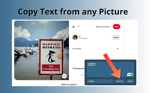Copy Text from Picture  from Chrome web store to be run with OffiDocs Chromium online