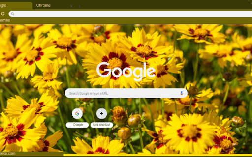 Coreopsis Lanceolata  from Chrome web store to be run with OffiDocs Chromium online