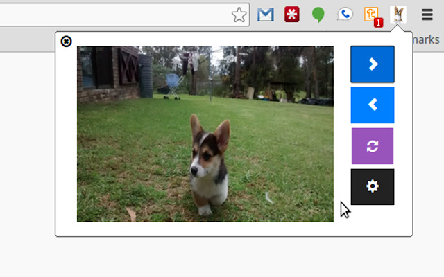 Corgi Break  from Chrome web store to be run with OffiDocs Chromium online