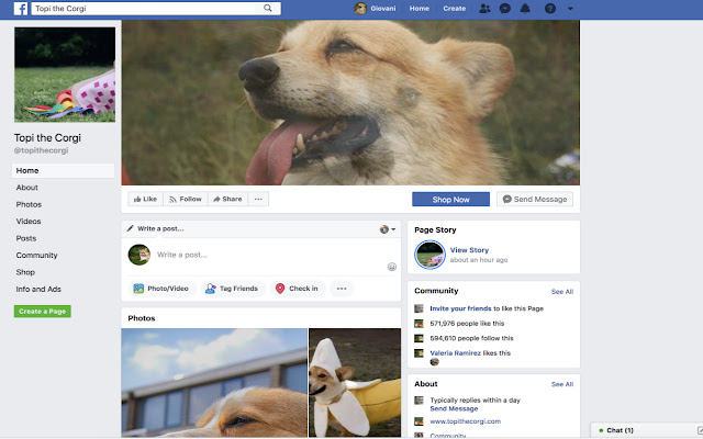 Corgi Fun Time  from Chrome web store to be run with OffiDocs Chromium online