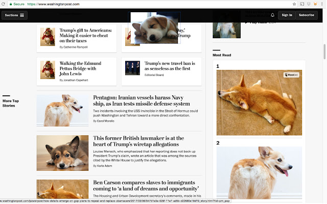 Corgify: Corgi Up Your Life  from Chrome web store to be run with OffiDocs Chromium online