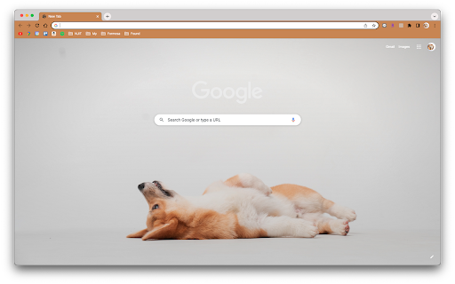 Corgi Theme  from Chrome web store to be run with OffiDocs Chromium online