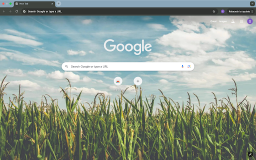 cornfield and sky  from Chrome web store to be run with OffiDocs Chromium online