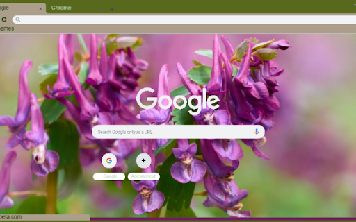 Corydalis  from Chrome web store to be run with OffiDocs Chromium online
