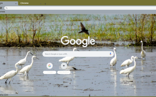 Co Trang  from Chrome web store to be run with OffiDocs Chromium online