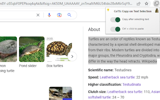 CoTS: Copy on Text Selection  from Chrome web store to be run with OffiDocs Chromium online