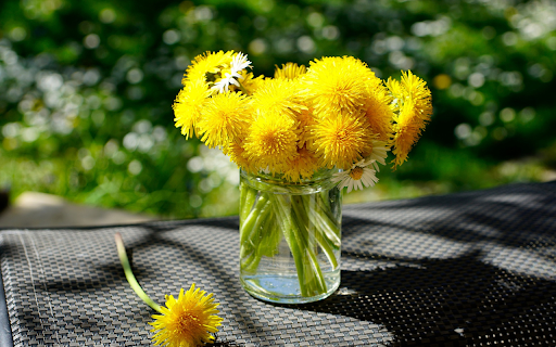 Country Flower Vase  from Chrome web store to be run with OffiDocs Chromium online