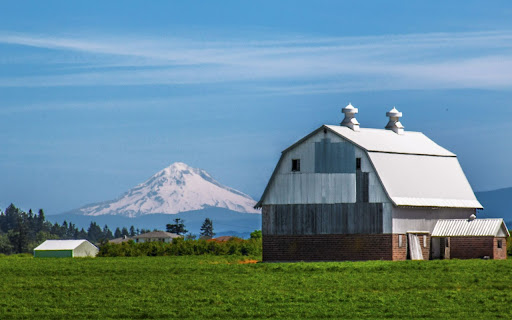 Countryside with Snow Capped Mountain  from Chrome web store to be run with OffiDocs Chromium online