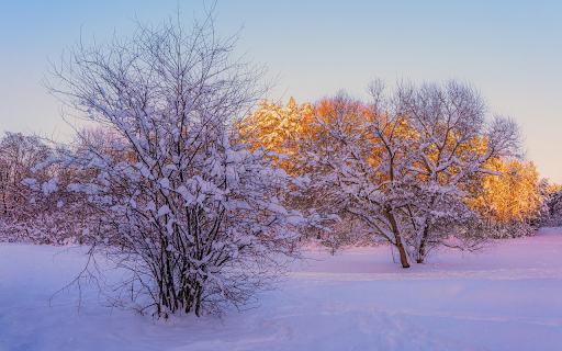 Covered by white snow  from Chrome web store to be run with OffiDocs Chromium online