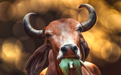 Cows and grass  from Chrome web store to be run with OffiDocs Chromium online