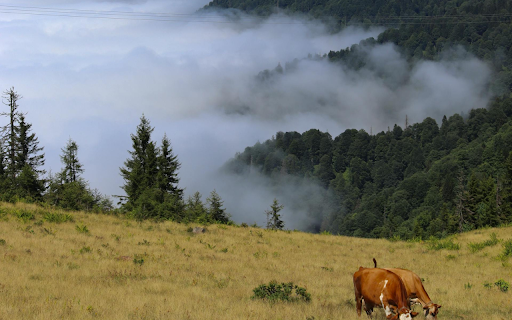 Cows and Valley  from Chrome web store to be run with OffiDocs Chromium online