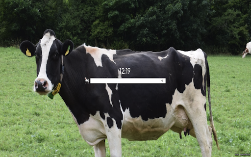 Cows Backgrounds  from Chrome web store to be run with OffiDocs Chromium online