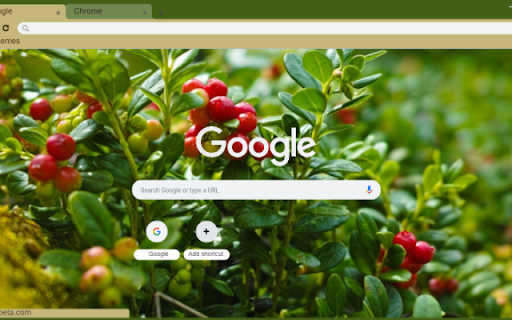 Cranberry Tree  from Chrome web store to be run with OffiDocs Chromium online