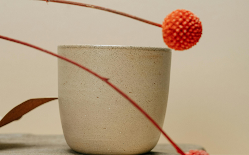Craspedia Flowers beside a Flower Pot  from Chrome web store to be run with OffiDocs Chromium online