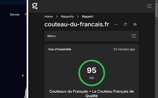 Crawler SEO Gtool Projects  from Chrome web store to be run with OffiDocs Chromium online