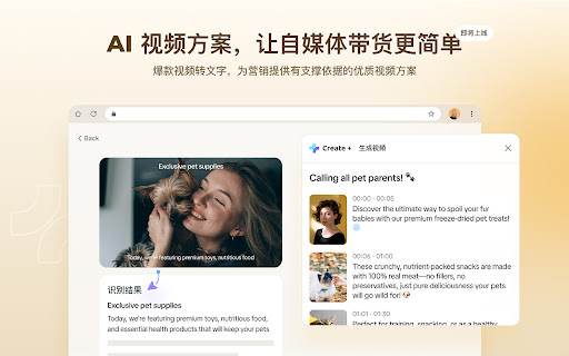 Create Collector  from Chrome web store to be run with OffiDocs Chromium online