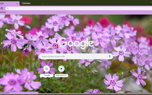 Creeping Phlox  from Chrome web store to be run with OffiDocs Chromium online