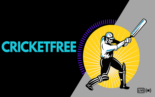 Cricket Player Interface  from Chrome web store to be run with OffiDocs Chromium online