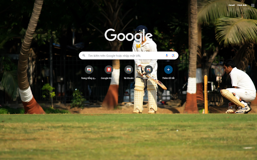 Cricket Player On Pitch Crictime  from Chrome web store to be run with OffiDocs Chromium online