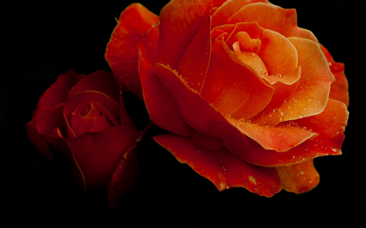 Crimson Dew  from Chrome web store to be run with OffiDocs Chromium online