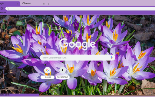 Crocus  from Chrome web store to be run with OffiDocs Chromium online