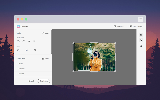 Cropmate  from Chrome web store to be run with OffiDocs Chromium online